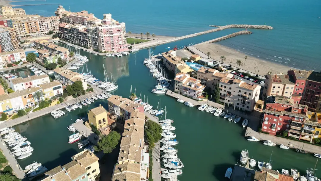 Upptäck snorkling och dykning i Valencia! illustration